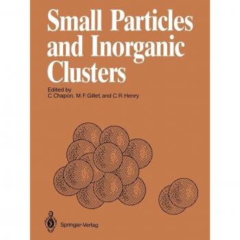 Small Particles and Inorganic Clusters