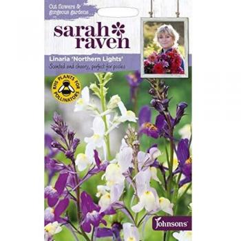 Linaria 'Northern Lights' Flower Seeds