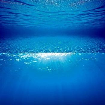 Juwel Aquarium Poster 2, S, 1 Stück