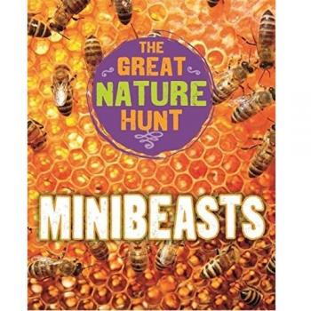 The Great Nature Hunt: Minibeasts (Hardcover)