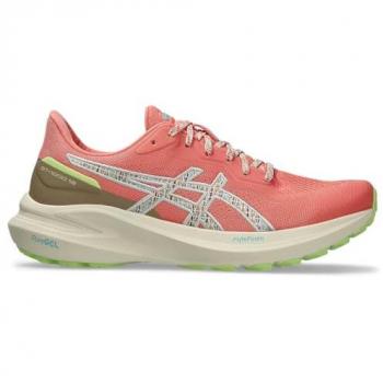 Chaussures ASICS GT-1000 13 TR rouge marron femme