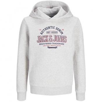 Jack & Jones Boys Logo Hoodie