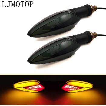 Intermitentes LED 2 Piezas para Suzuki DR650