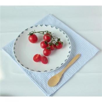 Premium Ceramic Dinner Plate – 8 Inch