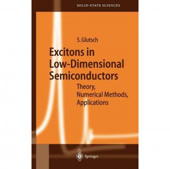 Excitons in Low-Dimensional Semiconductors: Theory Numerical Methods Applications (Springer Series in Solid-State Sciences, 141, Band 141)
