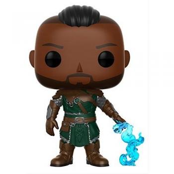 Figurine Funko Pop Warden Morrowind n°220