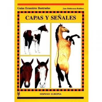Capas y seÃ±ales