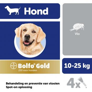 Bolfo Gold 250 Hond Vlooiendruppels
