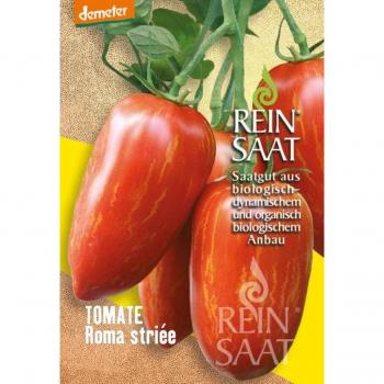 Pomodoro Roma Striato F1