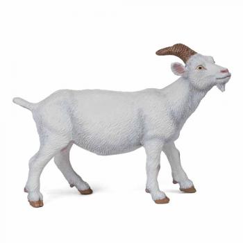 Cabra Blanca Natural
