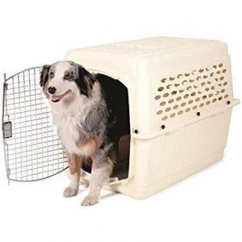 Conteneur de transport Kennel II – Mon Animalerie