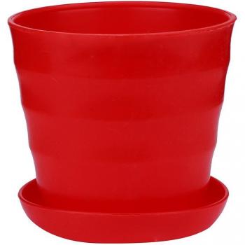 Colorful Succulent Plant Flowerpot #45
