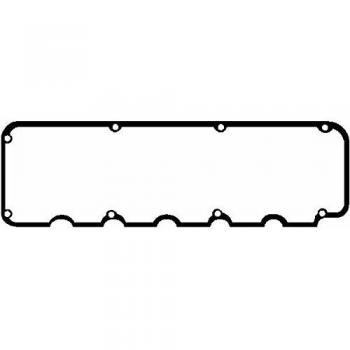 Guarnizione Coperchio Valvole Reinz 71-24469-10