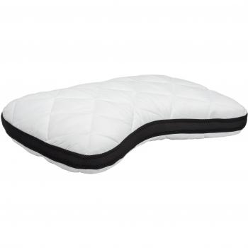 DualShield Memory Foam Cushion