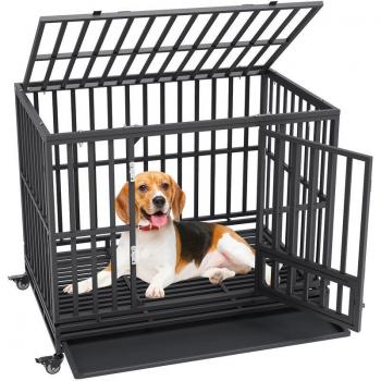 Vevor Medium to Large Dog Crate