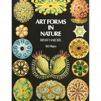 Art Forms in Nature
