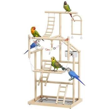 Terrarium ludique pour oiseaux PawHut – échelles, jouet à chaîne, plateau, mangeoire, balançoire