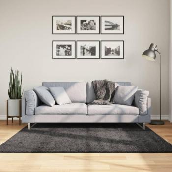 Tappeto Shaggy PAMPLONA Moderno Antracite Pelo Lungo 160x160 cm
