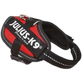 Arnés Ergonómico Julius-K9 IDC Rojo para perros