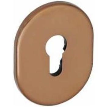 Bocchetta Porta Blindata con Foro Yale Bronzata
