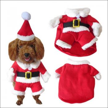 SantaMiau Perro
