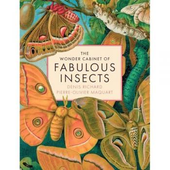 Denis Richard The Wonder Cabinet of Fabulous Insects