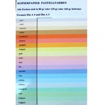 Papier couleur bleu A4 120g ramette de 250 feuilles Clairefontaine