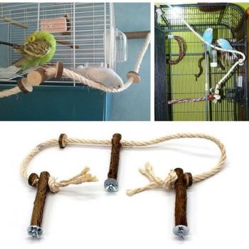 Bird Perch and Hammock Combo