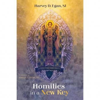Vitalsource Technologies, Inc. Homilies In A New Key