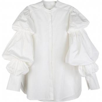 Loose Fit Autumn Puff Sleeve Blouse