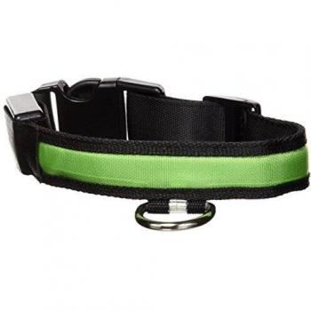 Lichtschimmer-Halsband von Eyenimal