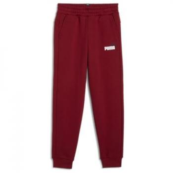PUMA Kinderhose ESS 2 Col Logo Pants FL
