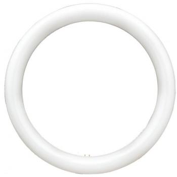Neon Disco Circular – lampe LED 300 mm