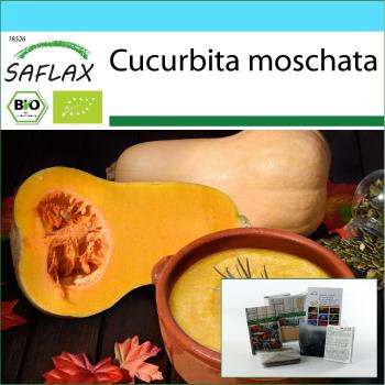 Kit de Jardinage Bio