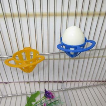 Parrot Food Container Basket