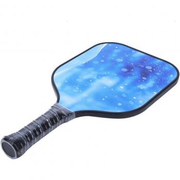 Outdoor Pickleball Paddle Set