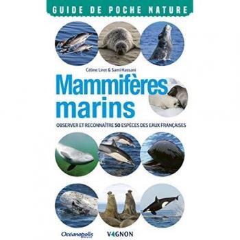 Mammifères marins. Observer et reconnaître 50 espèces des eaux françaises