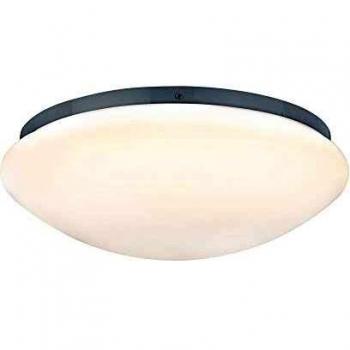 Plafonnier Paulmann Leonis 9,5 W blanc IP44 avec détecteur