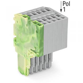 Accessori Elettronica WAGO Femmina 2 Fili Verde