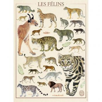 Puzzle Muséum national d'Histoire naturelle Nathan