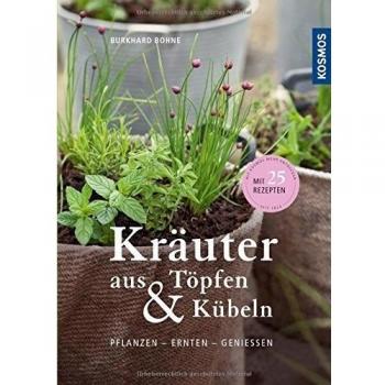 Kräuter aus Töpfen und Kübeln: Pflanzen