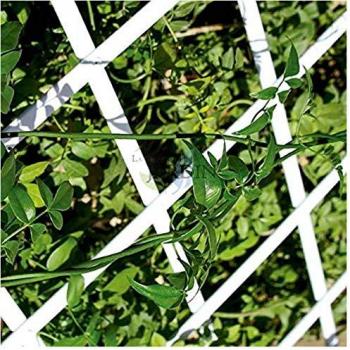 Celosía de PVC Blanca para Jardín 100 x 300 cm