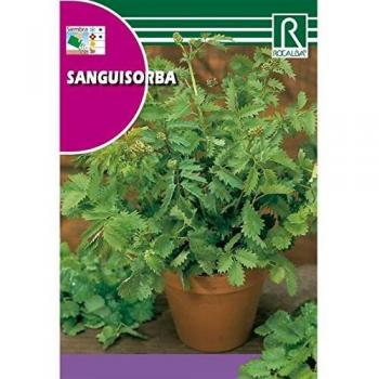 SEM. SANGUISORBA 3GR