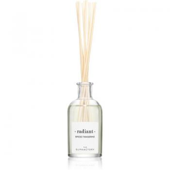 Ambientair The Olphactory Tangerine Spice Diffuser 100ml