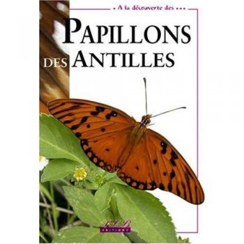 Papillons des Antilles (Animaux)