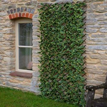 Hosta Leaf Trellis 180 x 60 cm