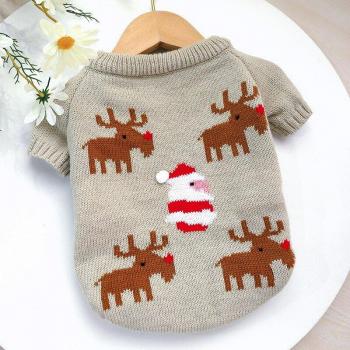 Pull pour chien imprimé de Noël
