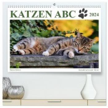 Premium Katzen Wandkalender 2024