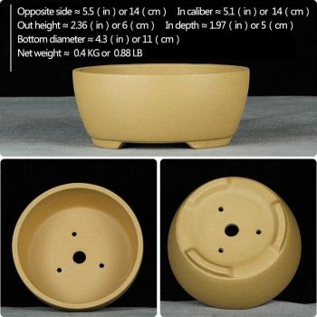 Bonsaï en porcelaine classique YiXing