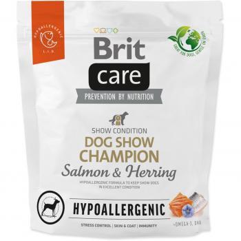 BRIT Care Allergiefrei Champion Hundefutter 1 kg